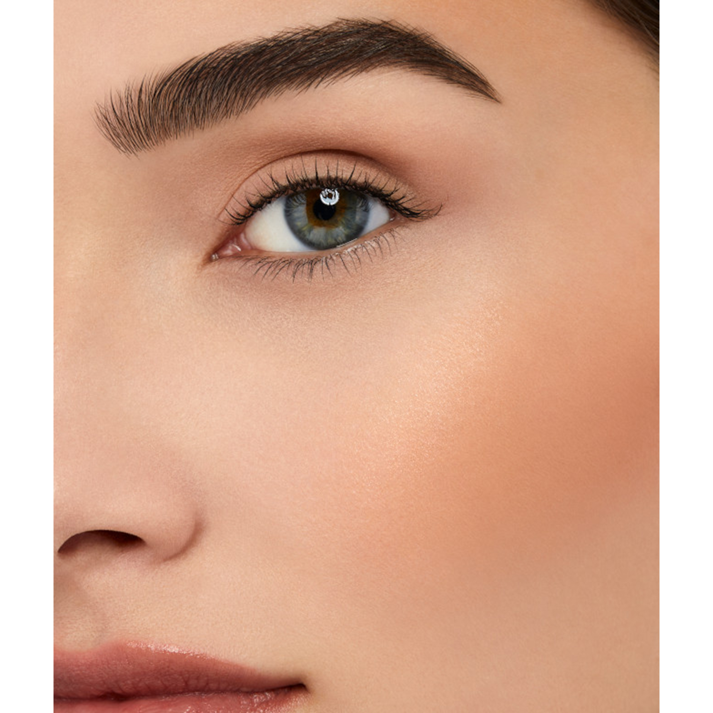 Bronzing Powder Bronzing Powder
